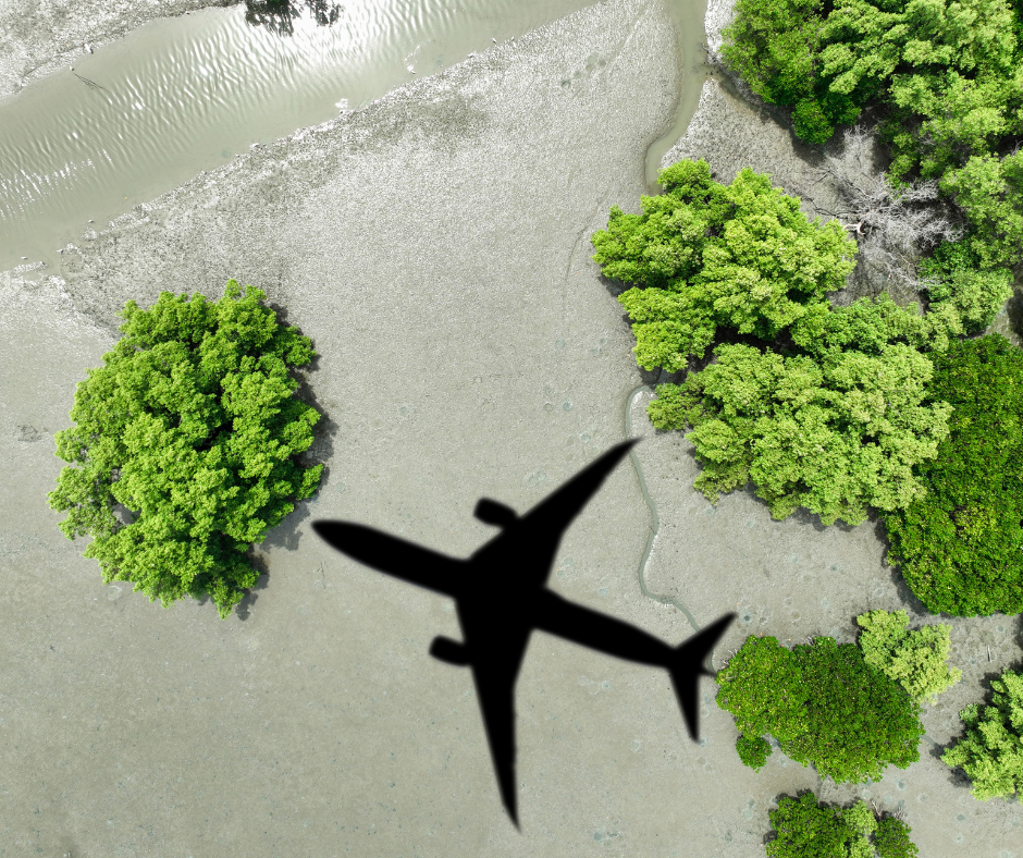 Eco-Friendly Vacation Ideas: Sustainable Travel Tips and Destinations