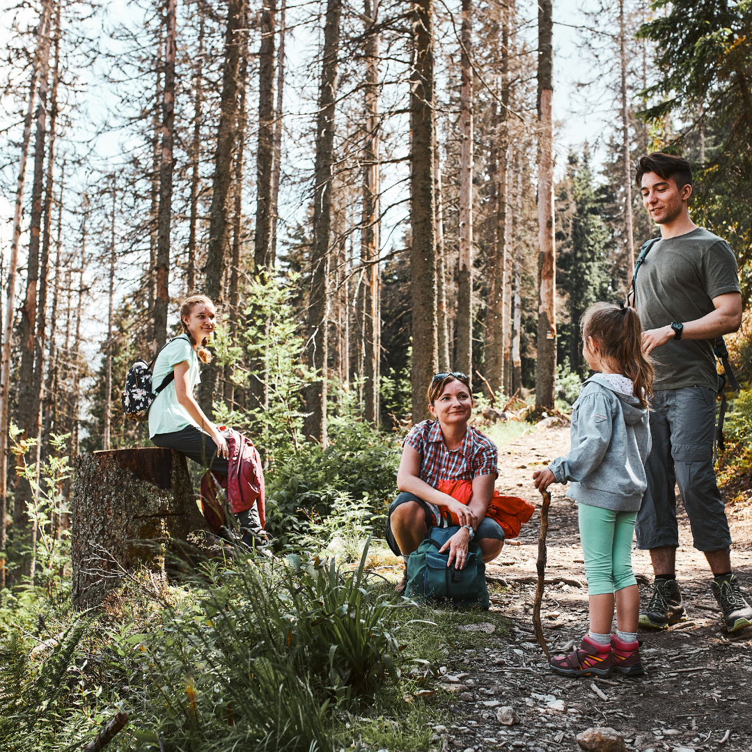 A family hiking together in a forest, with children and parents taking a break and enjoying the outdoors.